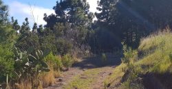 Finca en Garafia