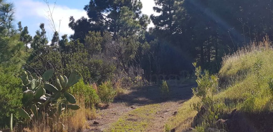 Finca en Garafia