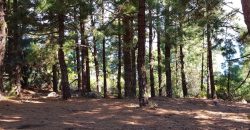 Finca en Garafia