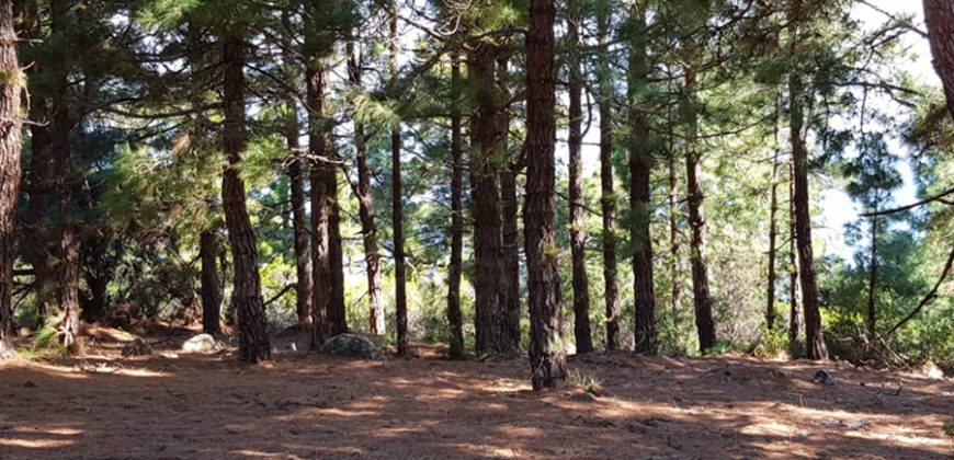 Finca en Garafia