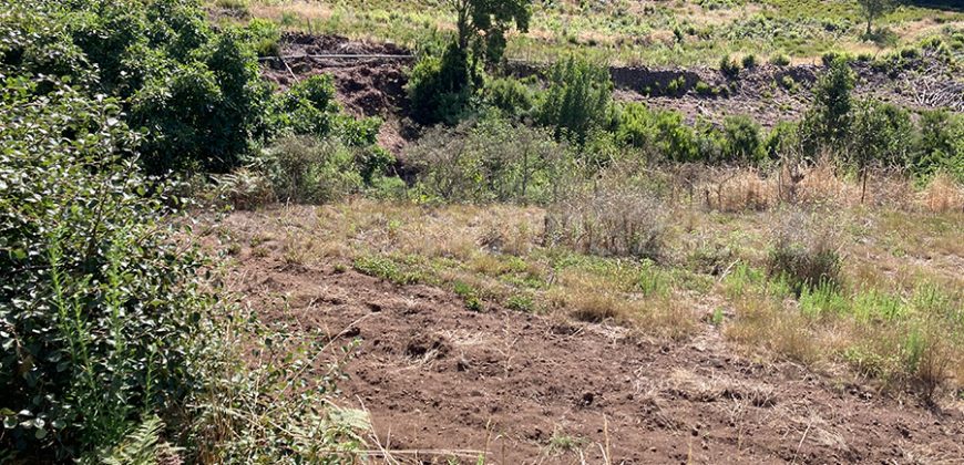 Casa en Garafia