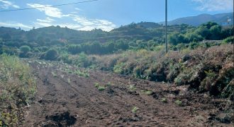 Finca en Garafia