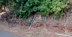 Finca en Garafia