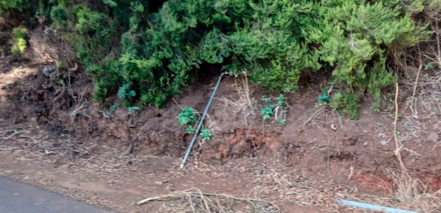 Finca en Garafia