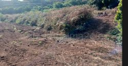 Finca en Garafia