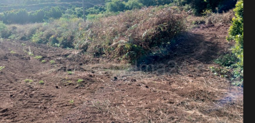 Finca en Garafia