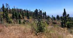 Terreno agrícola
