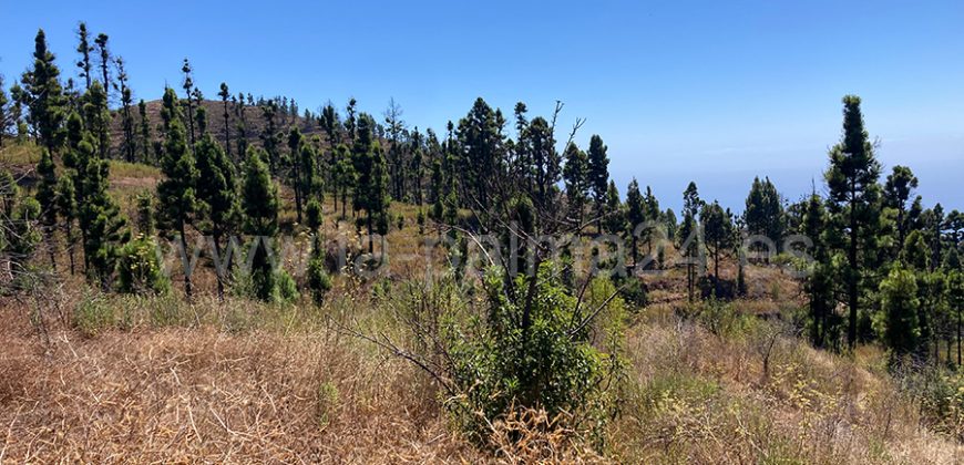 Terreno agrícola