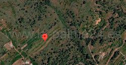 Terreno en Puntagorda