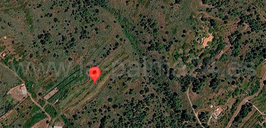 Terreno en Puntagorda