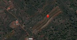 Terreno en Puntagorda