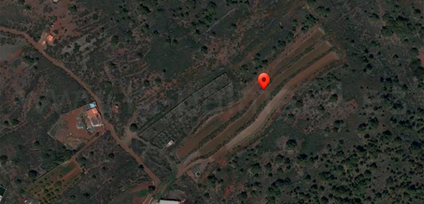Terreno en Puntagorda