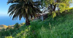 Finca en Garafia