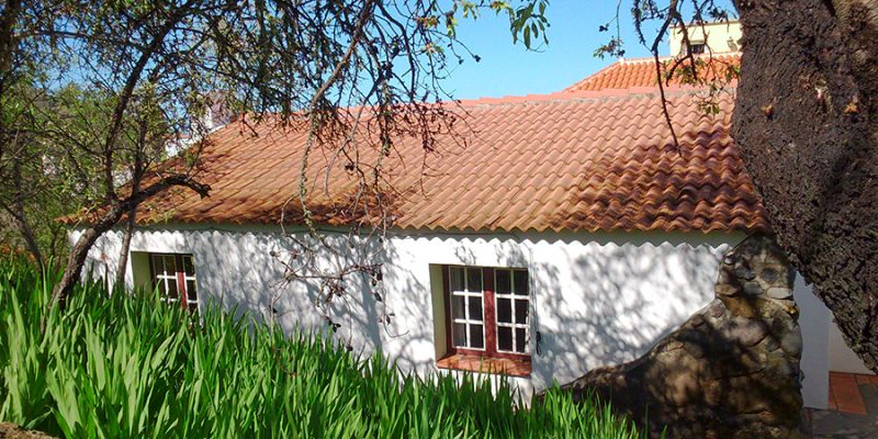 Haus in Puntagorda