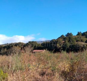 Finca en Garafia