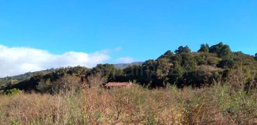 Finca en Garafia