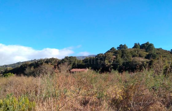 Finca en Garafia