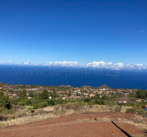Terreno en Puntagorda