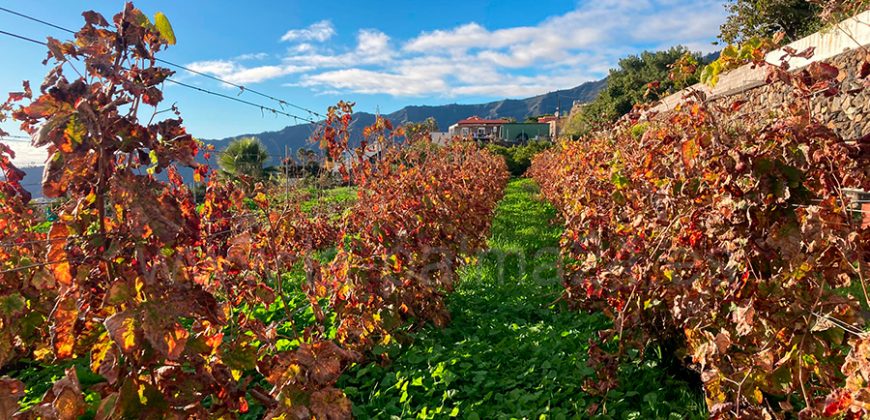 Casa en Los Pedregales