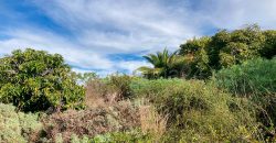 Urbanizable turístico