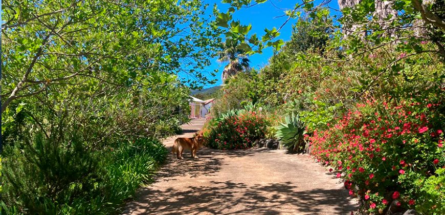 Casa en Breña Alta