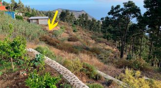 Terreno en Fuencaliente