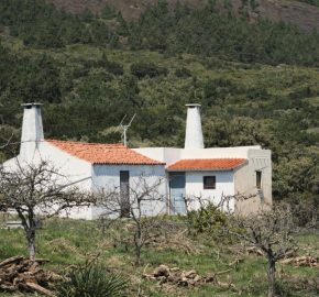Finca en La Palma