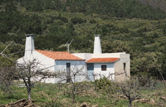 Finca en La Palma