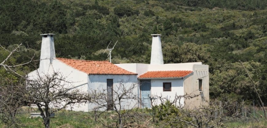 Finca en La Palma