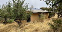 Finca en La Palma