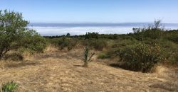 Finca en La Palma