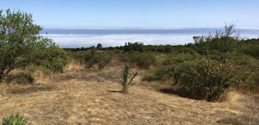 Finca en La Palma