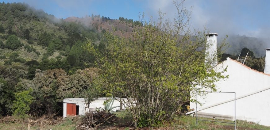Finca en La Palma