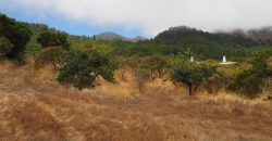 Finca en La Palma
