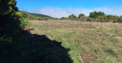 Finca en La Palma