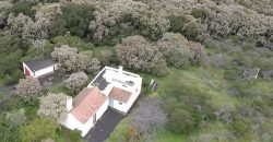 Finca en La Palma