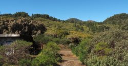 Finca en La Palma