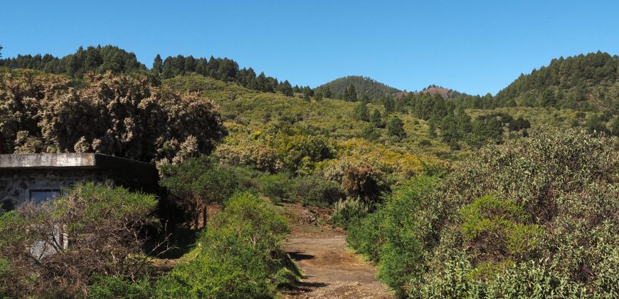Finca en La Palma