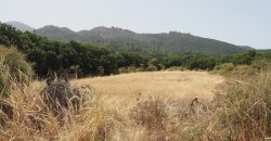 Finca en La Palma