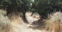 Finca en La Palma