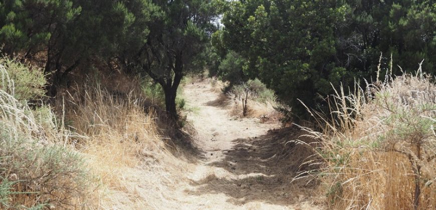 Finca en La Palma