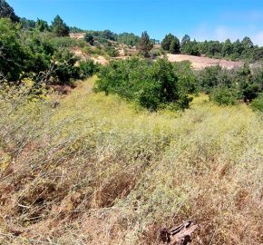 Terreno en Garafia