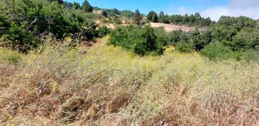 Terreno en Garafia