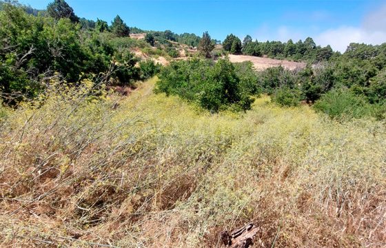 Terreno en Garafia